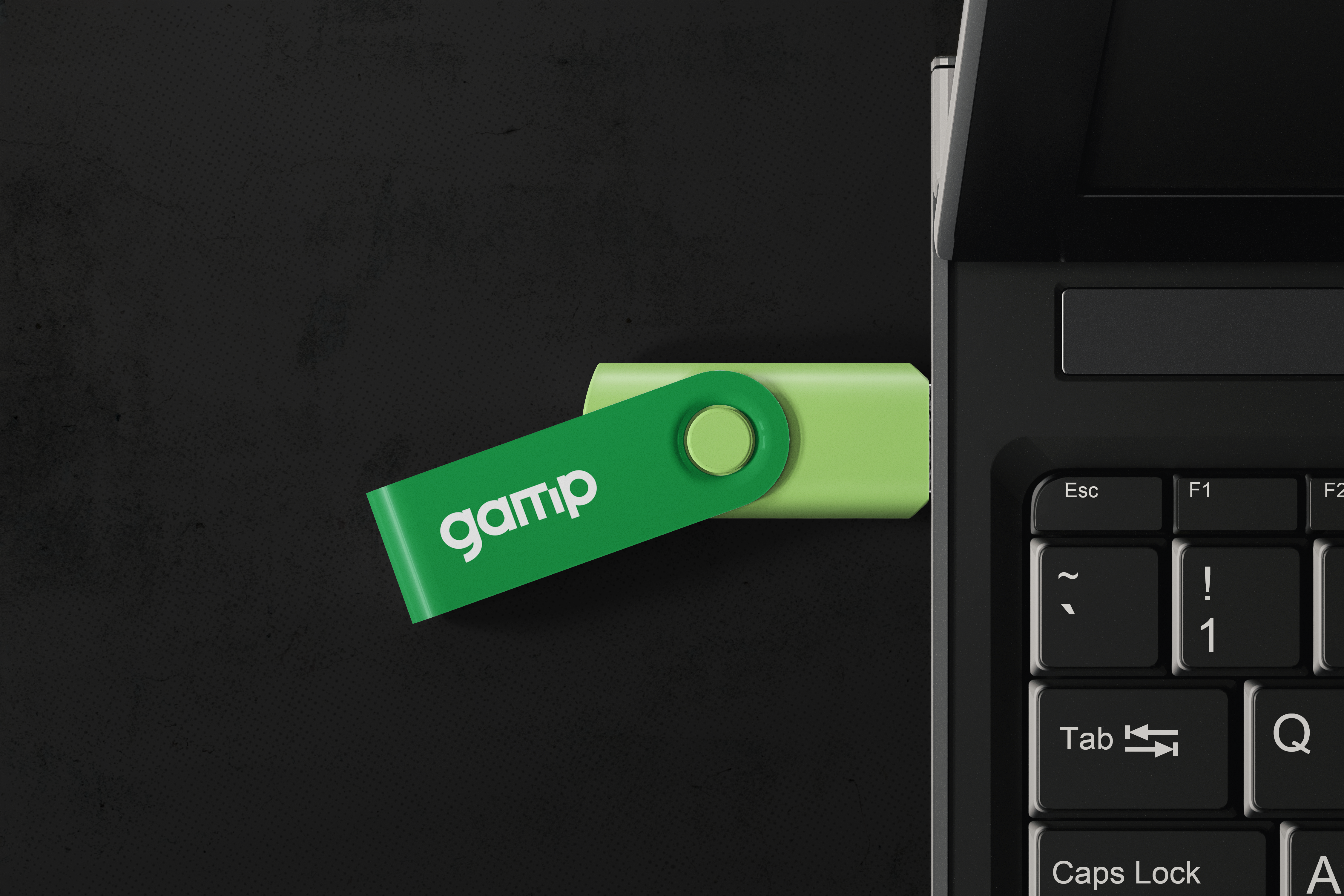 gamp